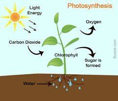 Water Cycle – Grade 7 Science Worksheet