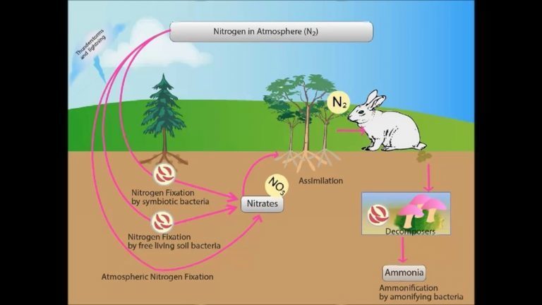 Water Cycle – Grade 7 Science Worksheet