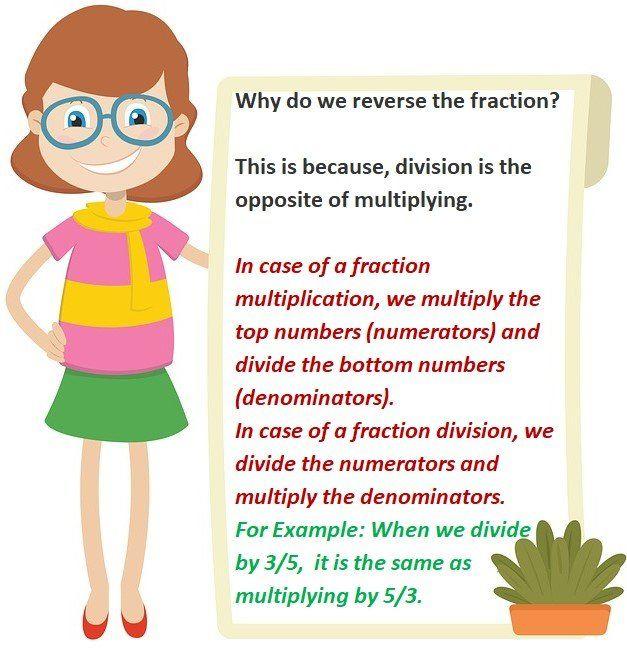 fractions and whole numbers