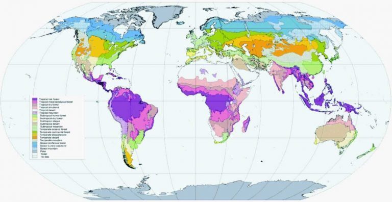 The Earth Ecosystem – Grade 7 Science Worksheets