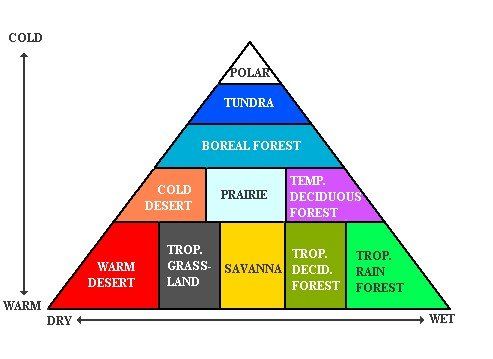 The Earth Ecosystem – Grade 7 Science Worksheets