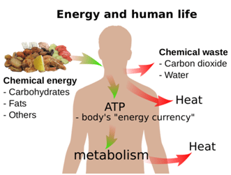 heat technology