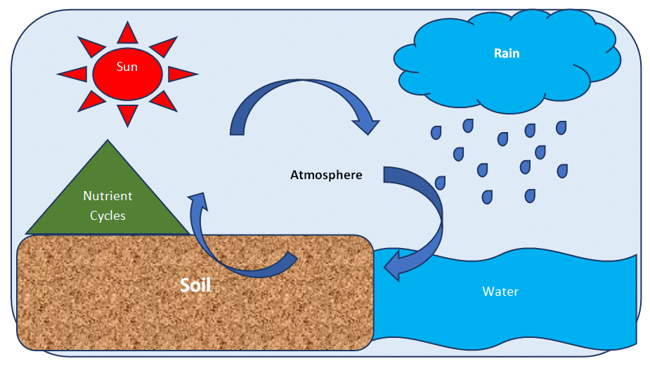 Abiotic Factors - Diagram