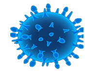 Biotic Factors - Example - Virus